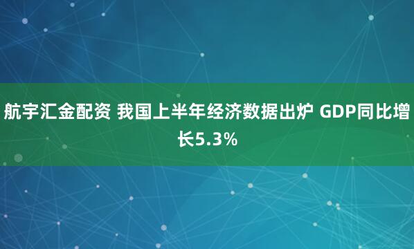 航宇汇金配资 我国上半年经济数据出炉 GDP同比增长5.3%