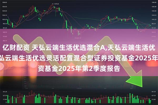 亿财配资 天弘云端生活优选混合A,天弘云端生活优选混合C: 天弘云端生活优选灵活配置混合型证券投资基金2025年第2季度报告