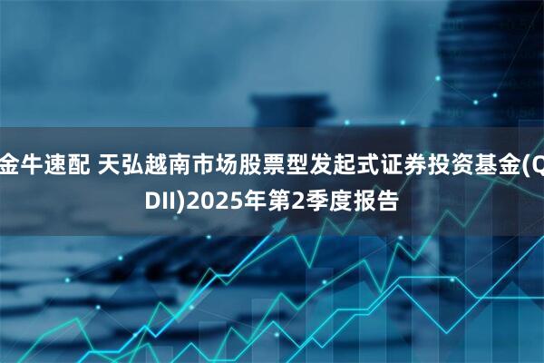 金牛速配 天弘越南市场股票型发起式证券投资基金(QDII)2025年第2季度报告